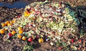 UN Report: Food Waste Crisis Fuels Hunger and Environmental Damage
