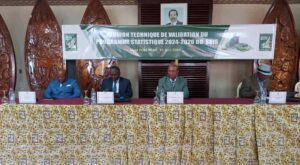 The work of the National Statistical Information System, chaired by the DG of the INS