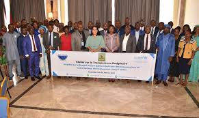 The Evolution of Financial Management in Cameroon: The GUCE-Customs Brokers Partnership