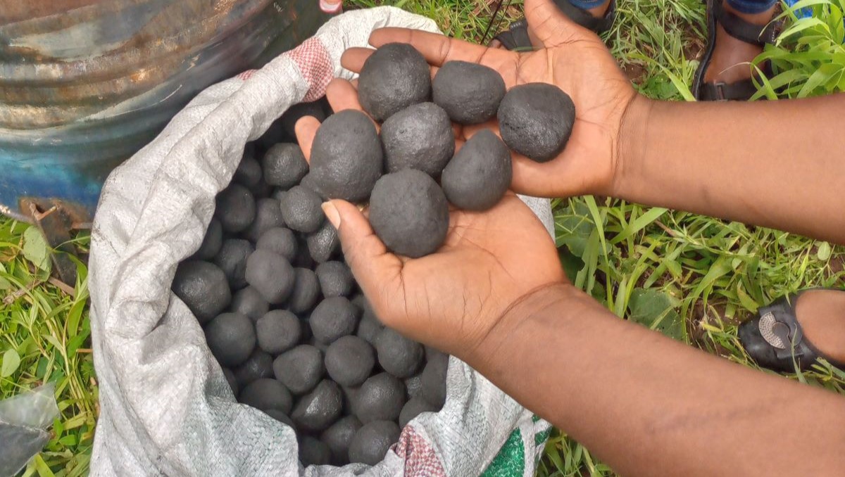 Ecological coal.