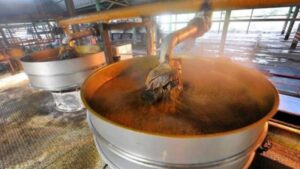 A palm oil production plant