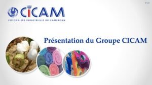 Supporting the CICAM Workers: A Guide to Solidarity and Action