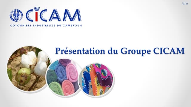 Supporting the CICAM Workers: A Guide to Solidarity and Action