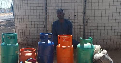 MNJTF and CJTF Foil Terrorist Plot Near Gubio, Arrest Courier with IED Materials