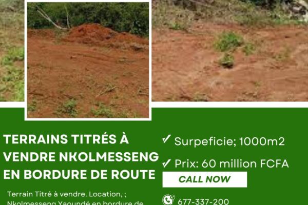 INVEST IN CAMEROON