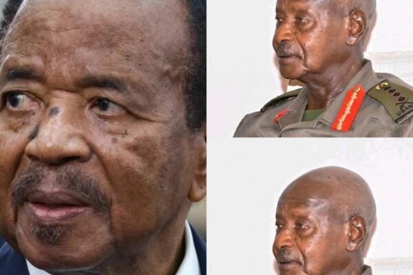 CAMEROON: INCREASED FEARS THAT PRESIDENTIAL ELECTIONS MIGHT NOT HOLD