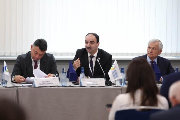 WPA Experts Propose Creation of CIS Youth Belt to Foster Conscious Unity and Cultural Dialogue