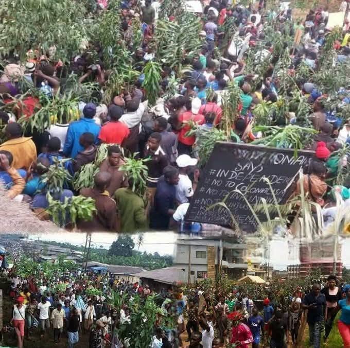 SOUTHERN CAMEROONIANS, AMBAZONIANS WANT TOTAL SEPARATION FROM LRC